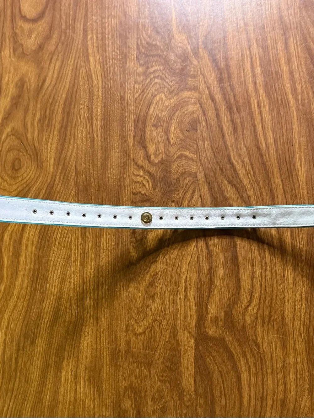 Teal Dog Collar - Size Medium